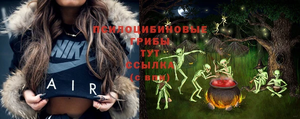 шишки Лиски