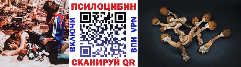 что такое наркотик  Староминская  ОМГ ОМГ онион  Псилоцибиновые грибы ЛСД 